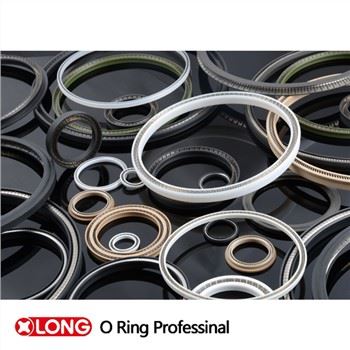 Joints de pompe radial énergisants PTFE Spring