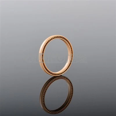 Bague d'étanchéité de pompe statique à ressort en téflon